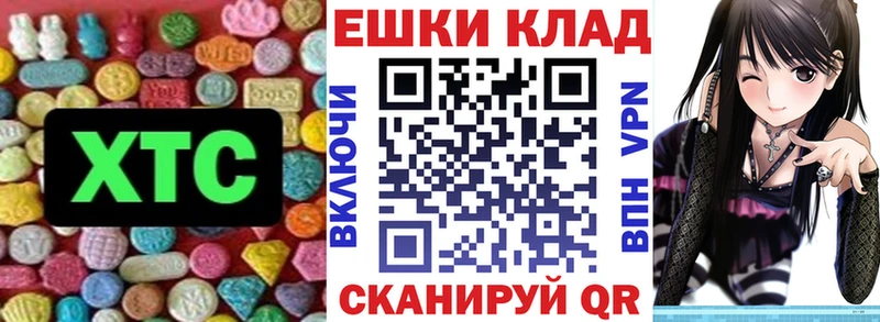 hydra   Строитель  Ecstasy Philipp Plein 