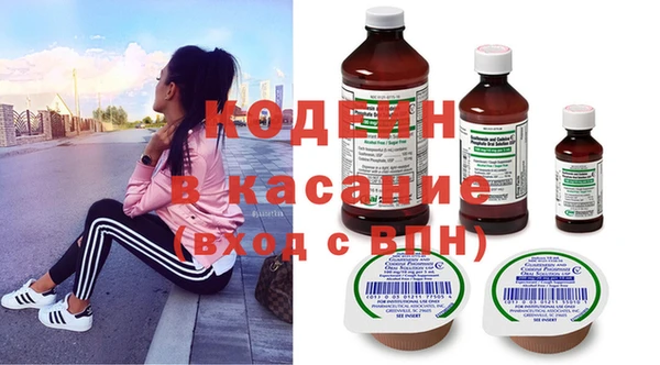 гашик Арсеньев