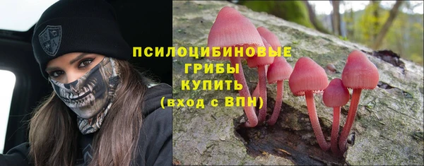 2c-b Аркадак