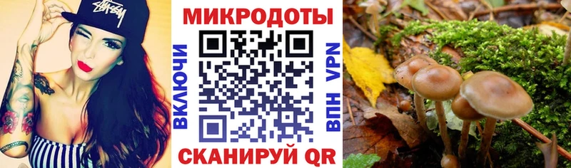 магазин продажи   Строитель  МЕГА сайт  Псилоцибиновые грибы мицелий 