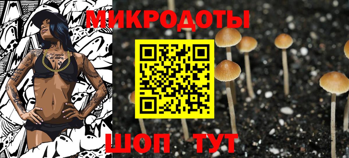 Строитель  Псилоцибиновые грибы Psilocybe  хочу наркоту  Вход с VPN  Галлюциногенные грибы прущие грибы 
