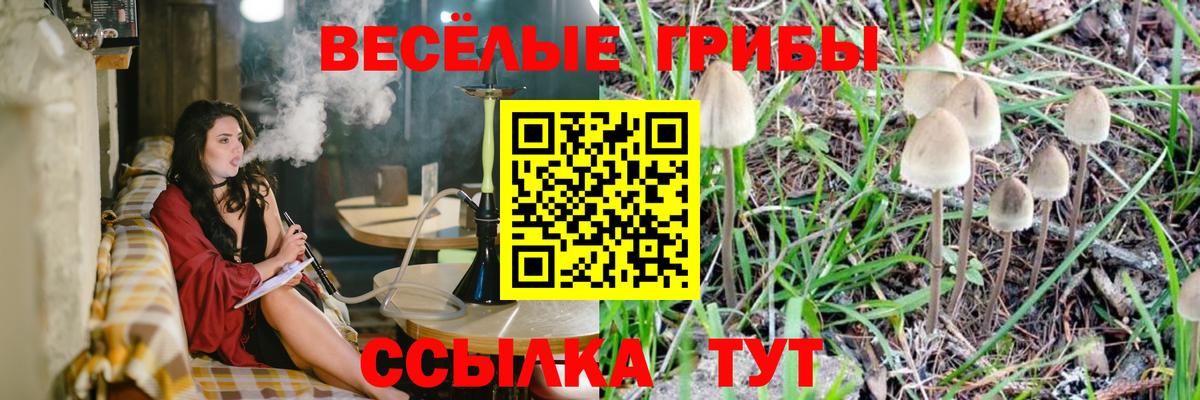 Галлюциногенные грибы ЛСД Строитель